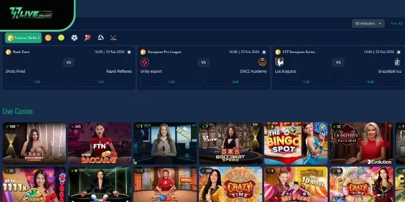 Mobile Accessibility for On-the-Go Gaming