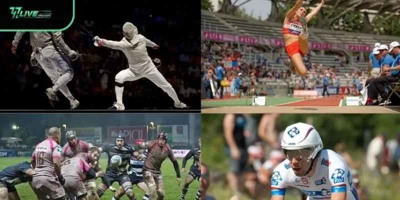 Traditional and Niche Sports