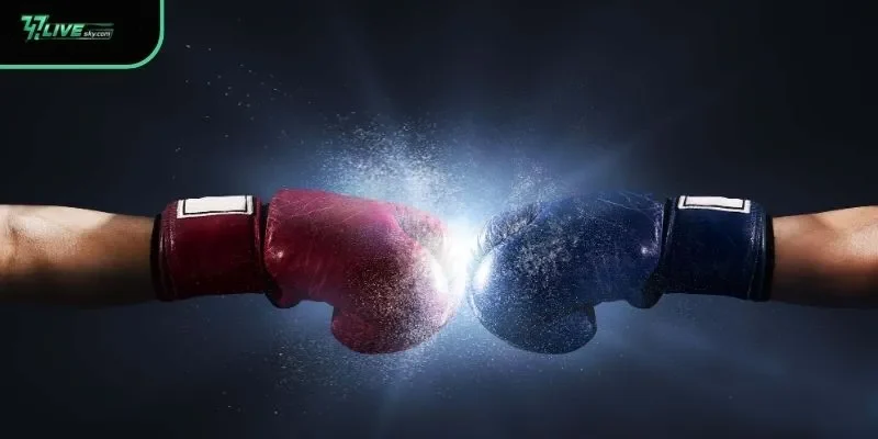 Understanding Markets within Boxing Betting