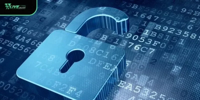 Why Trusting the Privacy Policy Matters